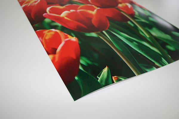 Posterdruck - Papiermuster